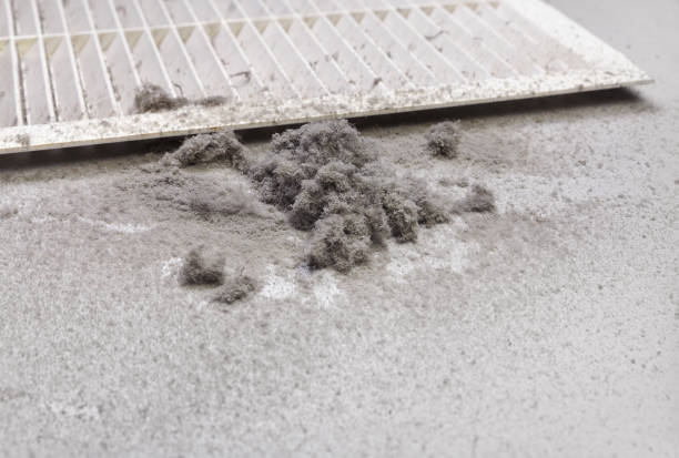 Best HVAC Duct Inspection Services  in Sparks, TX