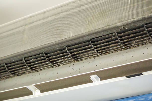 Best Emergency Air Duct Cleaning  in Sparks, TX